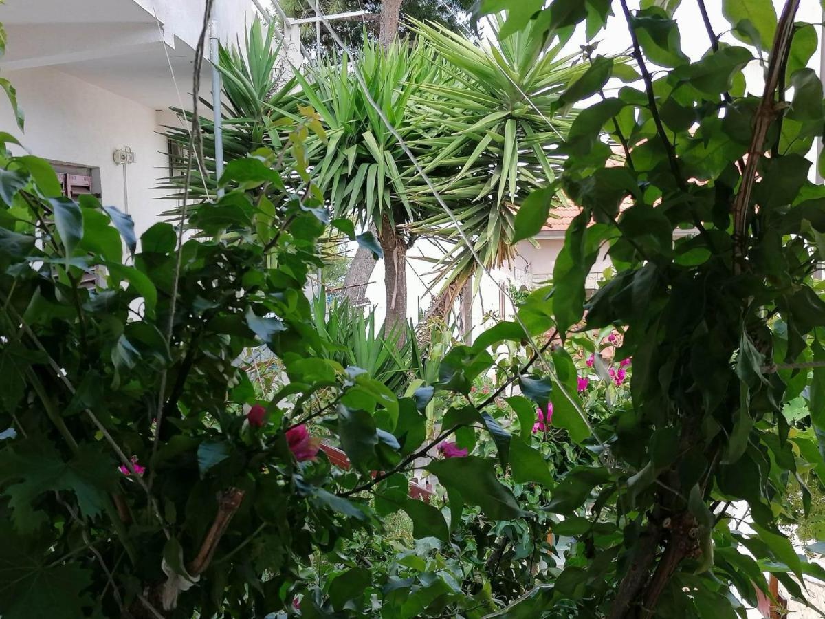 Misini Dvori Apartman