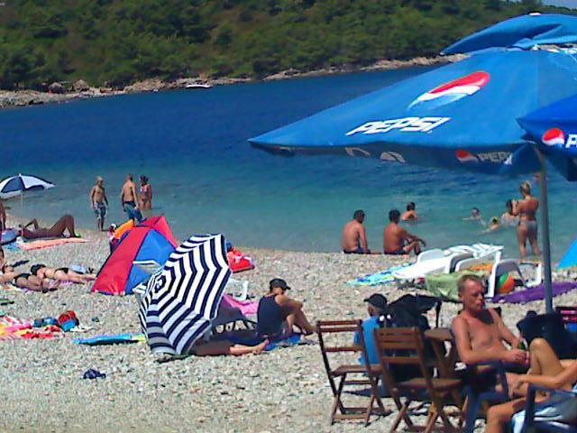 Misini Dvori